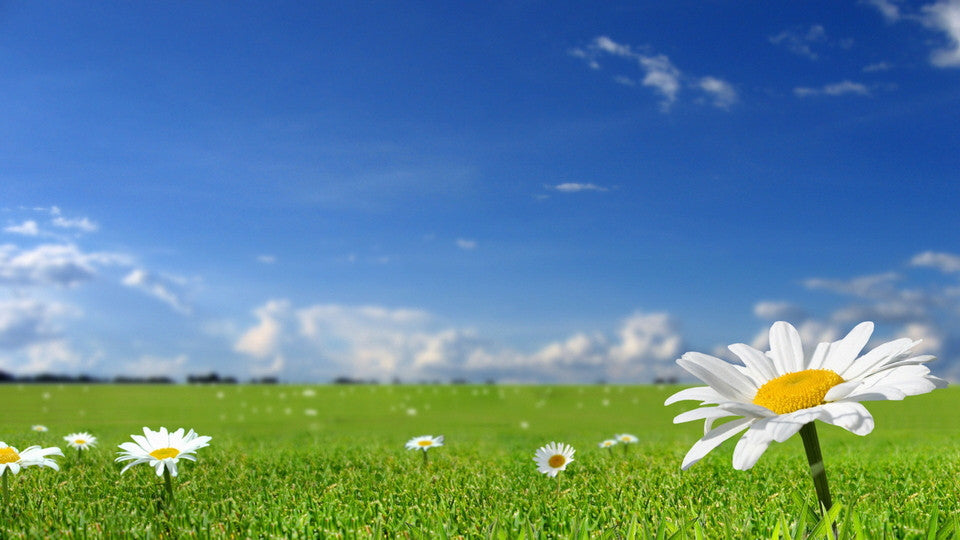 Collaborating with nature